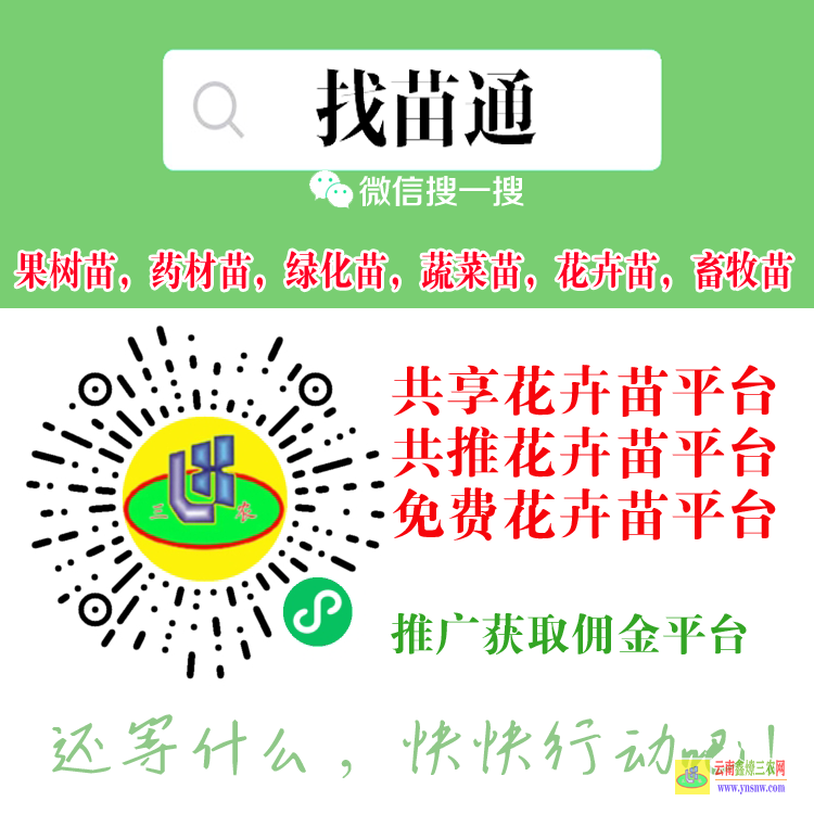 成都壽光蔬菜苗什么平臺 微信搜一搜[找苗通] 大果樹苗木交易平臺